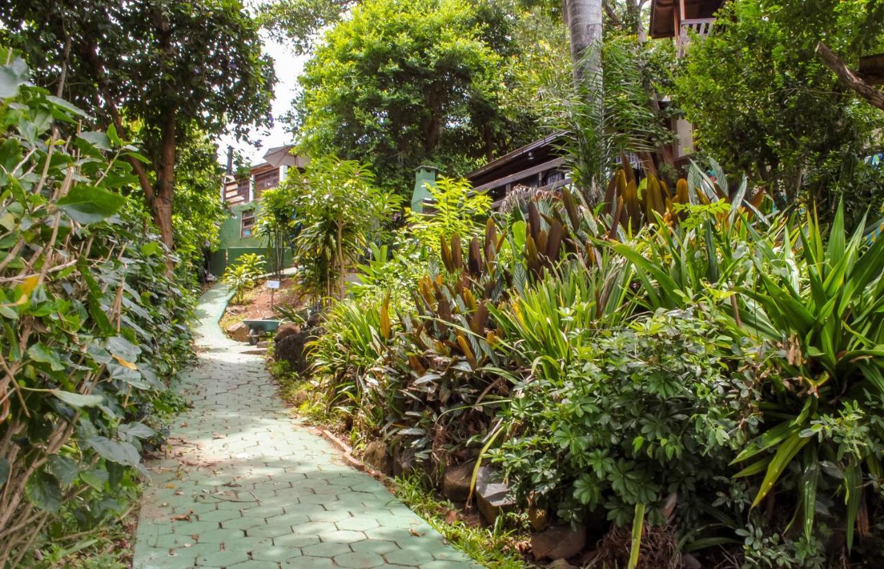 Sunset Strip Eco Apartments Florianópolis Εξωτερικό φωτογραφία